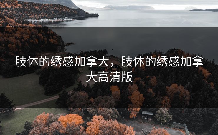 肢体的绣感加拿大，肢体的绣感加拿大高清版